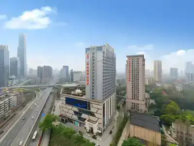 Vienna International Wuhan Changjiang 2rd Bridge - 10