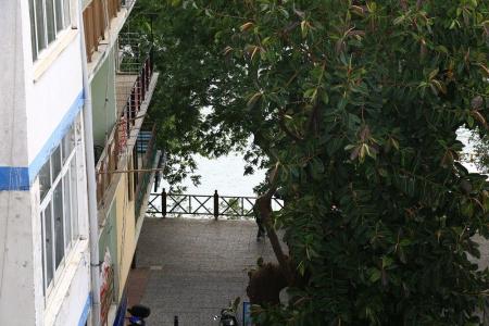 otel durkaya - 31