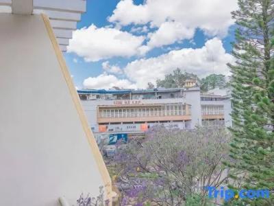 Nice Dream Dalat - 145