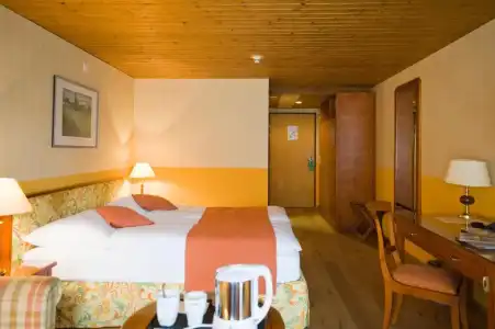 and Spa Silberhorn - 71
