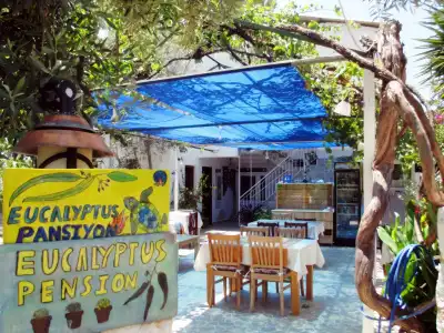 Eucalyptus Pension - 2