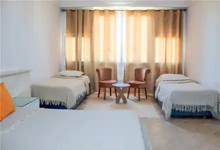 Delphin El Habib - 36