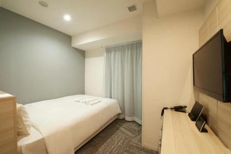 Sotetsu Fresa Inn Ueno Okachimachi - 41