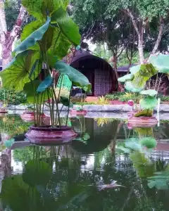 Con Khuong Resort Can Tho - 98