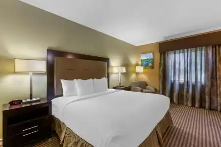 Royal Sun & Suites - 52