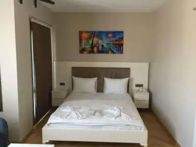 Leader Mansion & Suite - 4