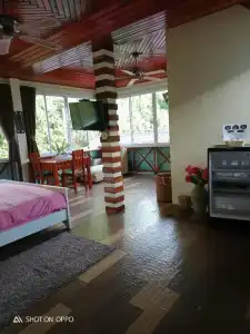 Mountain View Guest House - 25
