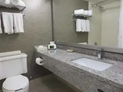 Toronto Don Valley and Suites - 76