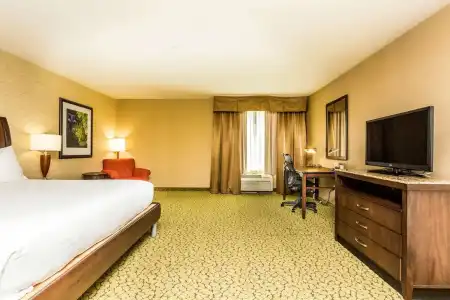 Hilton Garden Inn St. George - 51