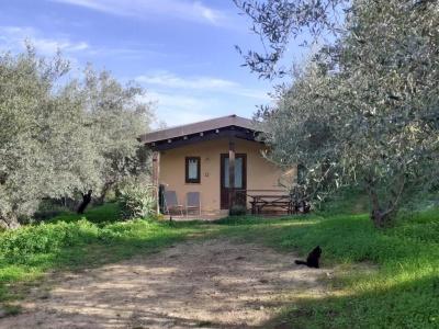 Agriturismo Terra di Pace - 44