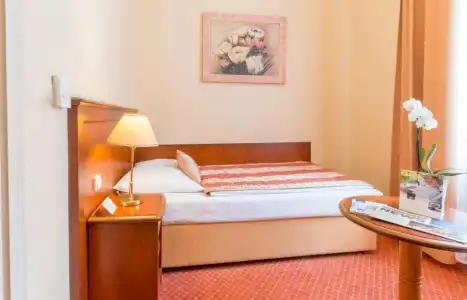 Danubius Health Spa Resort Centrální Lázne - 32