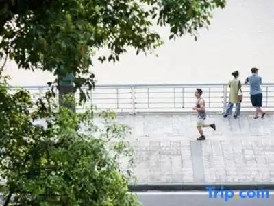 Wuyu (Chongqing Jinyun Mountain, Southwest University) - 42