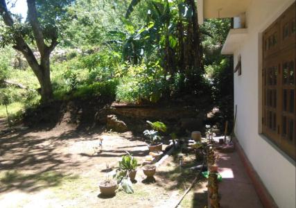218 Holiday Resort - 10
