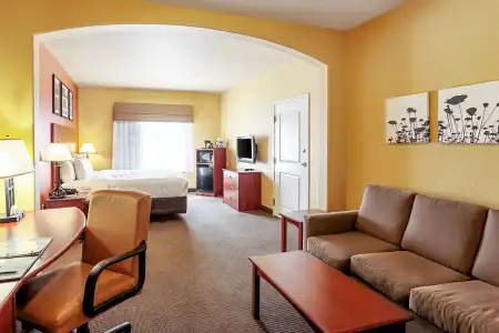 Sleep Inn & Suites Tyler South - 6