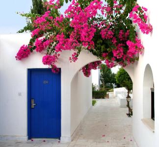 Aliathon Aegean - 22