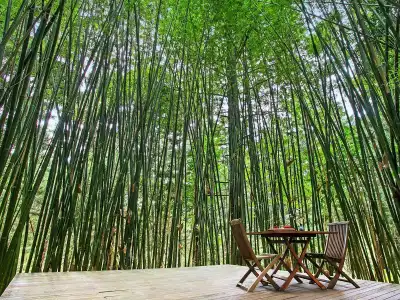 Azabu Retreat & Spa - 11