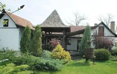 Salaš Đorđević - 6