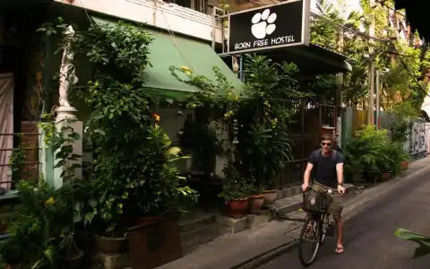 Born Free Hostel - 7