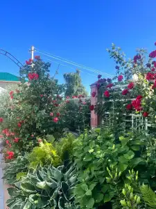 DASTAN guest house - 10