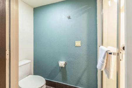 Quality Inn Memphis - 59