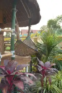 The Orchid Resort & Relax - 129