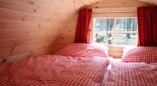 Azur Waldcamping Auwaldsee - 3