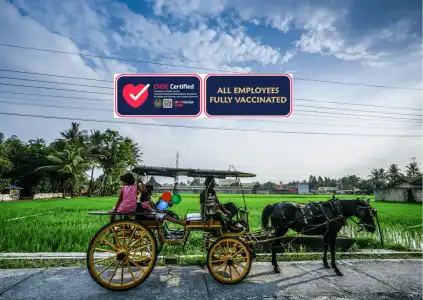 d'Omah Yogya - 35