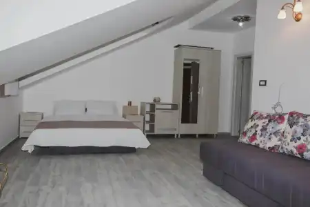 Dapčević - 1