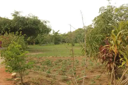 Sinhagiri Villa - 35