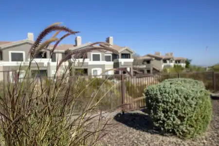 WorldMark Phoenix - South Mountain Preserve - 19