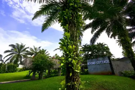 Beyond Krabi - 27