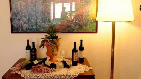 Villa Rosa - 15