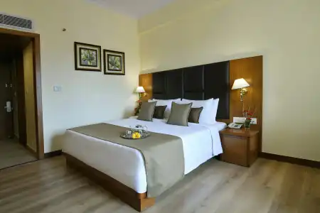 Peerless Kolkata - 104