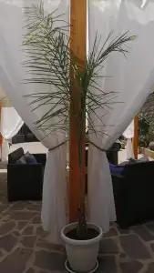 Mario Relais - 9
