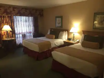 Stoweflake Mountain Resort & Spa - 14