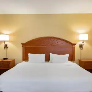 Orlando Palms - 35