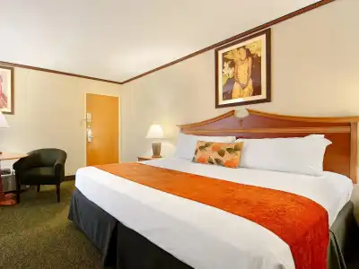 Best Western Seven Seas - 33