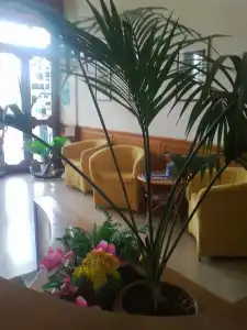 L'Approdo - 6