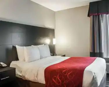 Comfort Suites Nashville Airport - BNA - 4