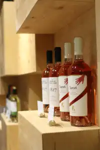 Wine - 19
