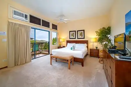 Kapalua Villas Maui - 102