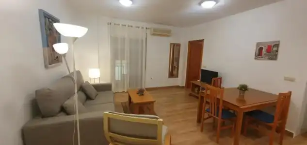 Apartamentos Plaza - 48