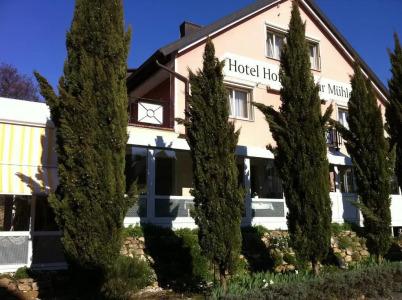 Hofmann Zur Mühle - 19