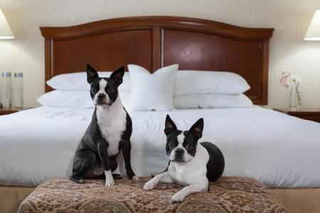 Rogue Regency Inn Medford Airport - 43