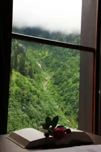 Ayder Villa de Pelit - 17