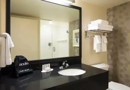 Fairfield Inn & Suites by Marriott Calgary Downtown - 8