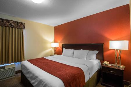 Comfort Inn & Suites Airport South - 52