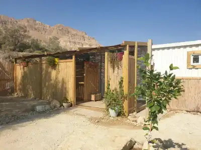 Ein Gedi Kibbutz - 10