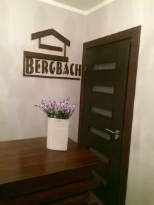 Pension Bergbach - 15