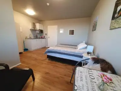Skálatjörn Guesthouse - 91